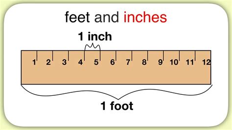 Measurement (Feet and Inches) - YouTube