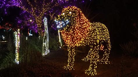 Phoenix Zoo offering $5 off ZooLights tickets through October | 12news.com