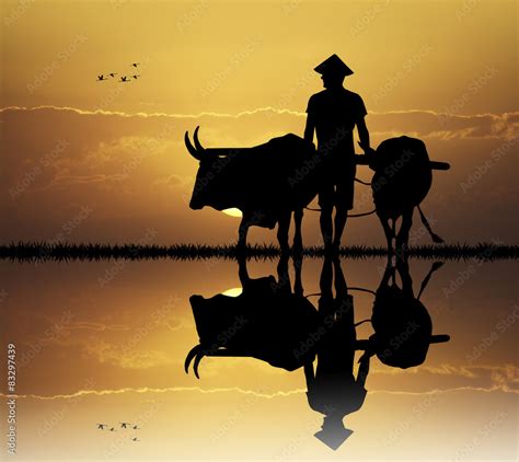 Asian farmer silhouette at sunset Stock Illustration | Adobe Stock