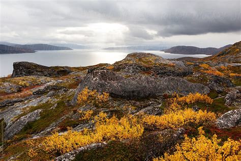 "Autumn Colours In Northern Norway" by Stocksy Contributor "Jonatan Hedberg" - Stocksy