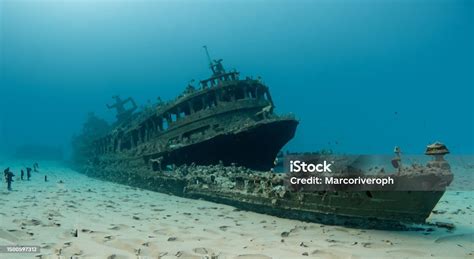 Kapal Luar Biasa Karam Di Bawah Laut Foto Stok - Unduh Gambar Sekarang - Air, Alam, Aqualung ...