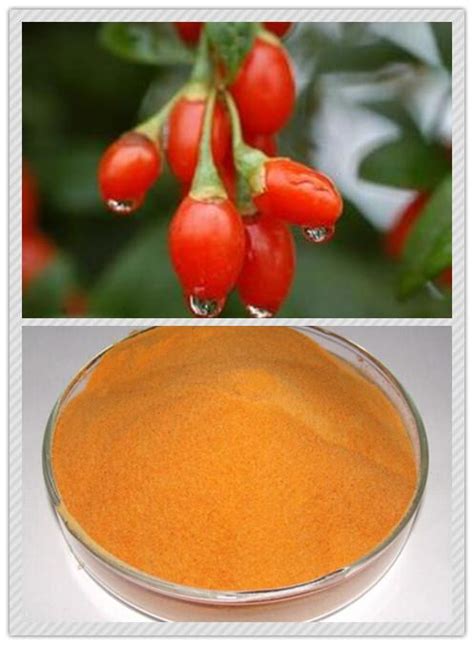 China Wolfberry Fruit Powder Manufacturers, Suppliers and Factory - VICTAR