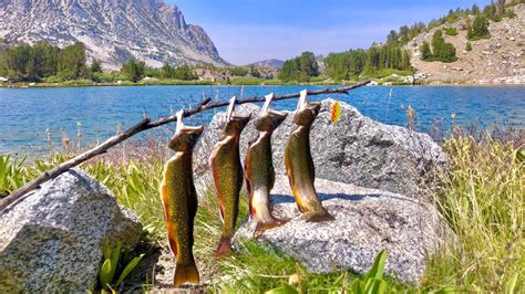 Wild Brook Trout CATCH AND COOK In High Elevation Mountain Lakes! | Fishing The Eastern Sierras ...