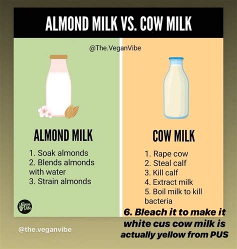 Nutrition Facts Almond Milk Vs Cow | Besto Blog