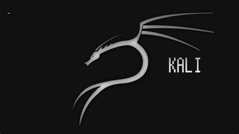 Kali Linux 4k Wallpapers - Top Free Kali Linux 4k Backgrounds ...