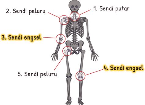 Contoh Sendi Peluru - 58+ Koleksi Gambar