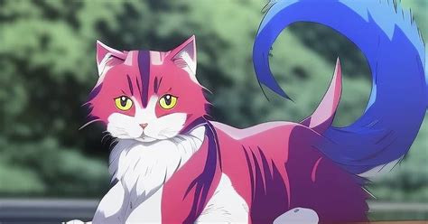 Best Anime Cat Names (225+ Inspired Ideas)