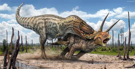 T.rex vs Triceratops by Swordlord3d on DeviantArt