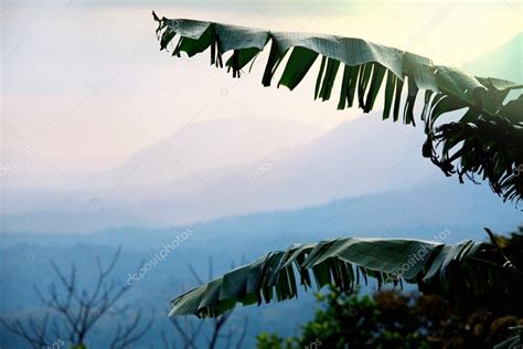 Sri Lanka landscapes Stock Photo by ©kamchatka 35662719