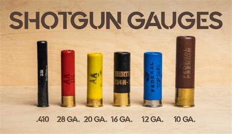 Shotgun Gauges Explained - Wideners Shooting, Hunting & Gun Blog