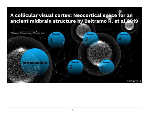 A new visual pathway | PPT