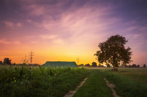 Summer Field at Sunset Royalty-Free Stock Photo