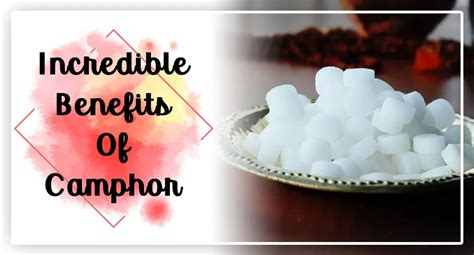 Numerous Health Benefits Of Camphor - My Health Only