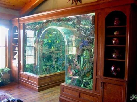 40 Cool Aquarium Ideas to Inspire You on Your Quest