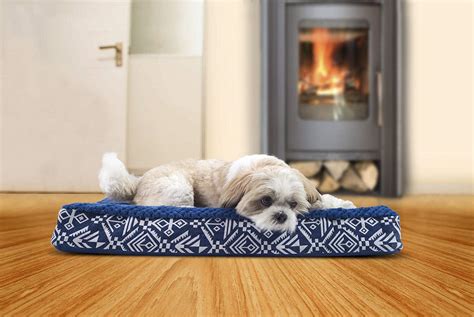 8 Best Memory Foam Dog Beds for 2019 | The Dog People by Rover.com