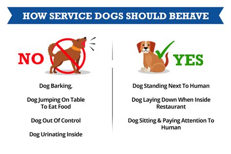 How to Get Your Service Dog to Stop Barking