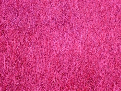 Pink Texture Background Free Stock Photo - Public Domain Pictures