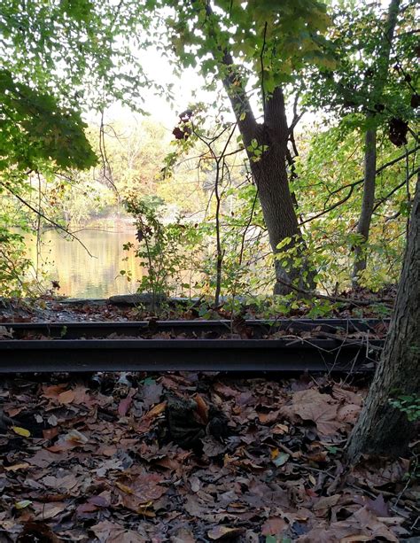 Abandoned railroad tracks | Smithsonian Photo Contest | Smithsonian ...