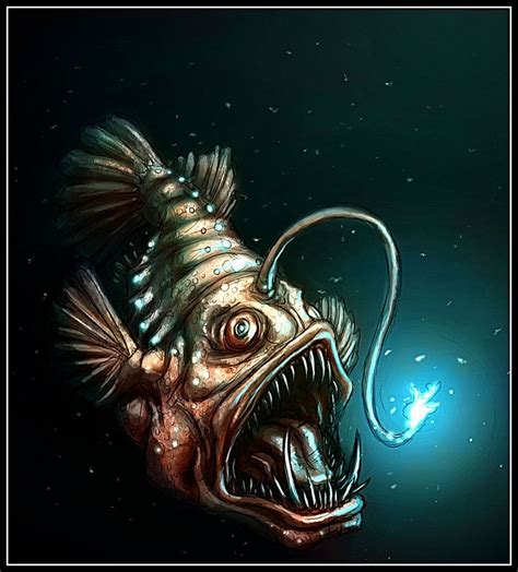 Angler fish deviantart | Angler fish tattoo, Fish drawings, Angler fish