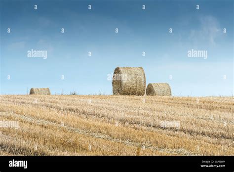 Straw bales on farmland in the sunset Stock Photo - Alamy