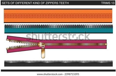 Set Various Kind Zipper Teeth Vector Stock Vector (Royalty Free) 2398715395 | Shutterstock