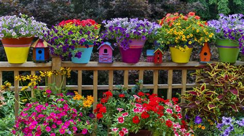 17 Most Colorful Garden Plants