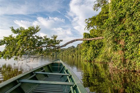 A Trip to the Amazon Rainforest | Amazon Rainforest Travel Guide