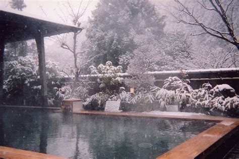 Kyoto Onsen Guide: Top Hot Springs & What to Expect at a Japanese Bath