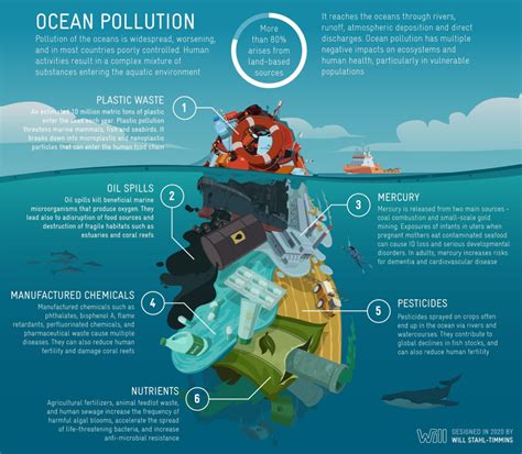 BC Global Observatory Releases Study on Ocean Pollution and Human Health - The Heights