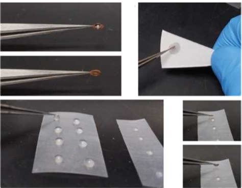 Negative Staining TEM - Creative Biostructure