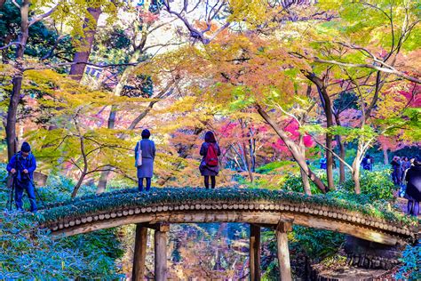 Best parks in Tokyo - Lonely Planet