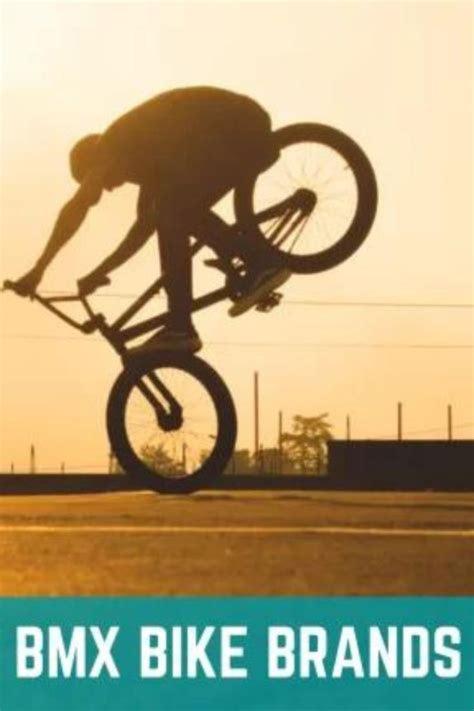 Top 10 Best BMX Brands Of 2023 - BikesReviewed.com | Best bmx, Bmx bike brands, Bmx brands