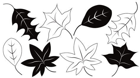 Fall Black And White Leaves Clipart Black And White Wikiclipart | Sexiz Pix