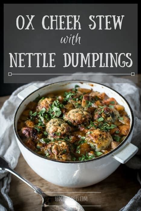 Ox Cheek Stew with Nettle Dumplings - The Hedgecombers