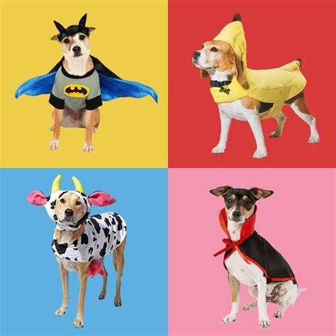 40 Best Dog Halloween Costumes | Dog Halloween Costume Ideas [2022]