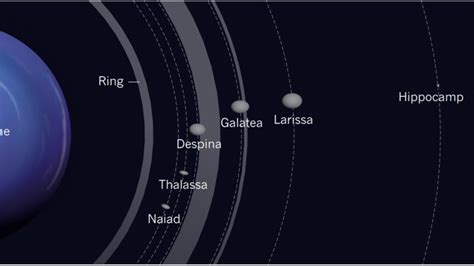 Neptune new moon: Hippocamp discovered using Hubble Space Telescope