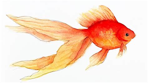 Goldfish Watercolor Painting