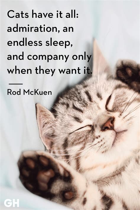 Sleeping Cat Quotes Funny - Just Dogs23