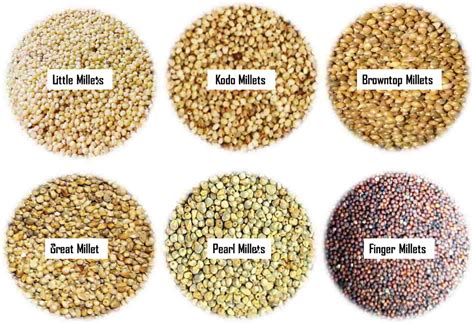 Millet And Their Awesome Health Benefits Common Millets, 45% OFF