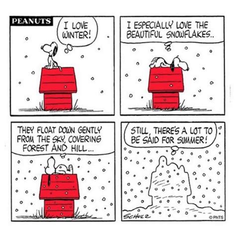 72 best images about Winter on Pinterest | Peanuts snoopy, Happiness is and Its cold