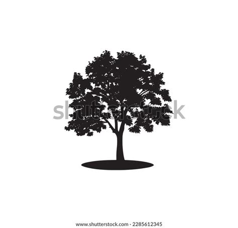 Small Size Tree Silhouette Vector Art Stock Vector (Royalty Free) 2285612345 | Shutterstock