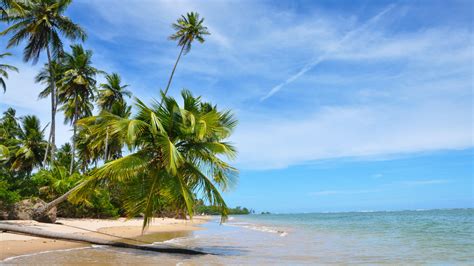 Bahia Beaches, Brazil holidays - Steppes Travel