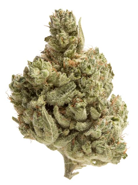 The 7 best hybrid strains