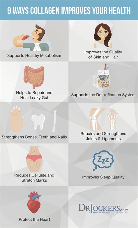 Collagen: 9 Reasons Why This Improves Your Health - DrJockers.com | Collagen benefits, Collagen ...