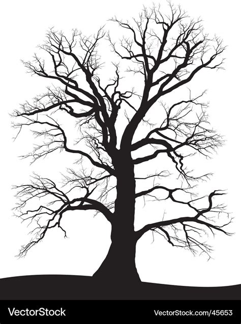 Tree oak silhouette Royalty Free Vector Image - VectorStock