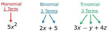 Monomial: Definition, Examples & Factors - Video & Lesson Transcript ...