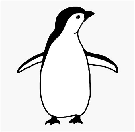 Penguin Silhouette - Penguin Clipart Black And White, HD Png Download , Transparent Png Image ...