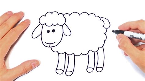 How to draw a Sheep Step by Step | Sheep Drawing Lesson