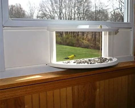 Window Bird Feeder | BestNest Window Mounted Feeder Tray - Yinz Buy