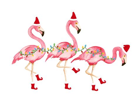 Christmas flamingo - hoolitea